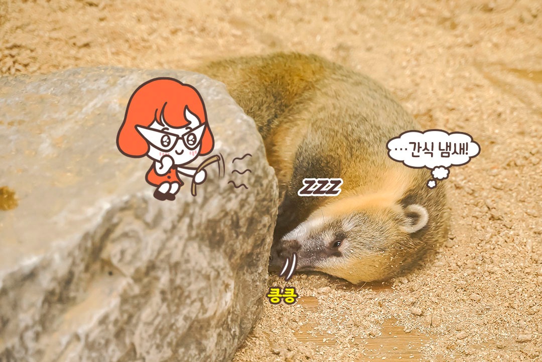 야! 나 간식 있다! 따라붙어!