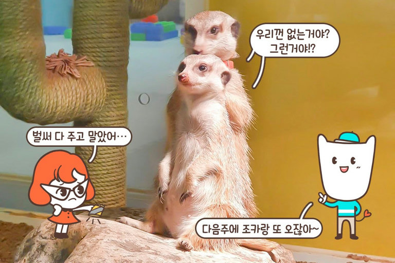 야! 나 간식 있다! 따라붙어!