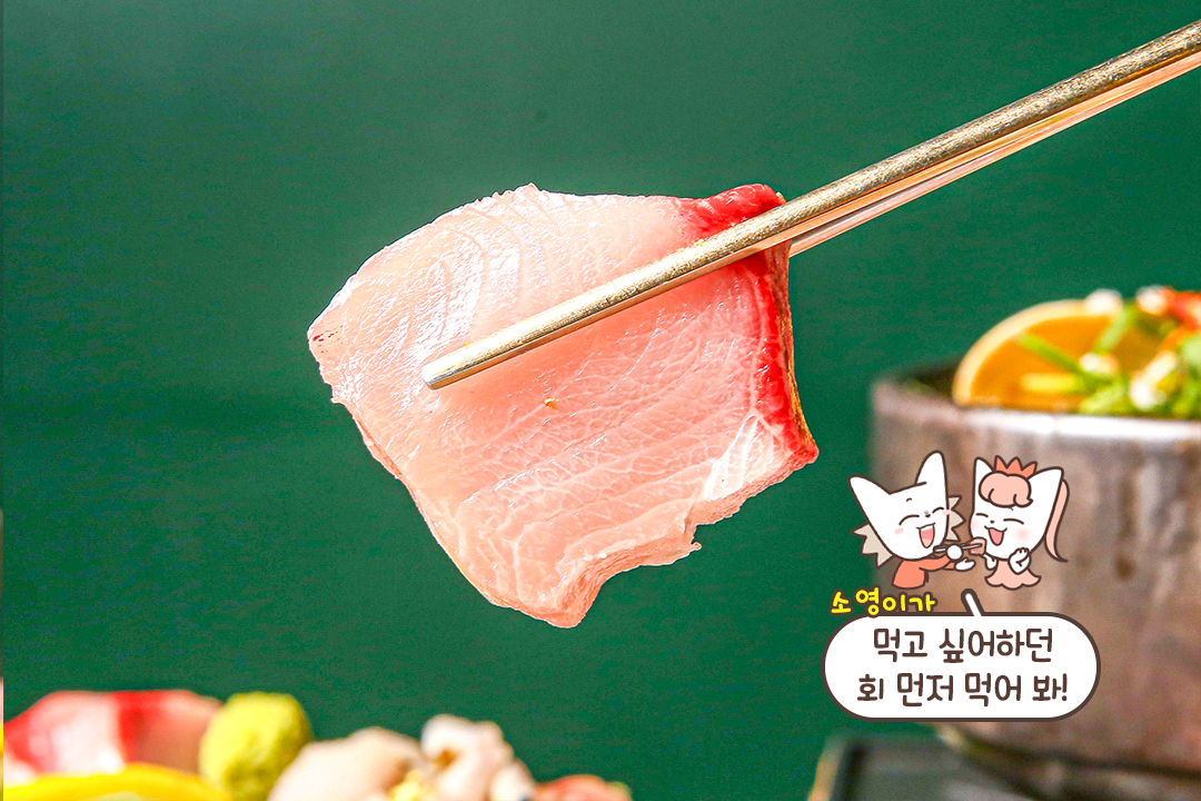 겨울 제철, 꼭 맛봐야 할 대방어회 ❄️