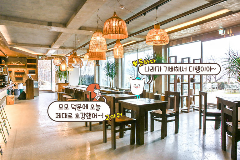녹화에 빠져들었어(✿˵•́ᴗ•̀˵)