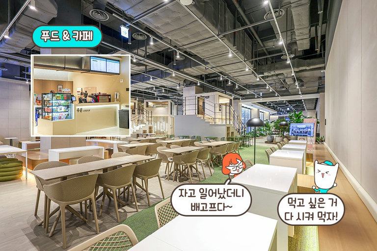 하루 종일 배부르고 등 따신 시간 보내기🤗