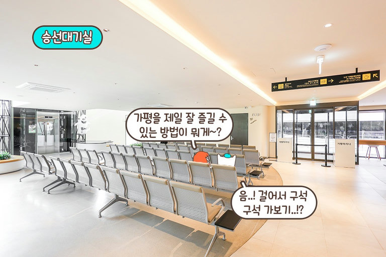 어마어마한 친환경 크루즈🚢