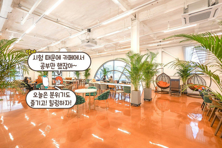 식물이 한 가득! 자연 속에서 즐기는 커피 & 디저트🌳