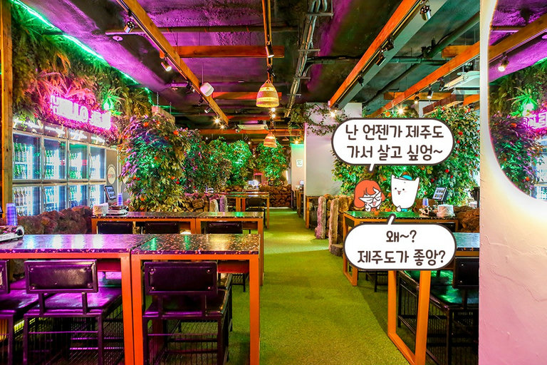 자연 친화적 인테리어💚
