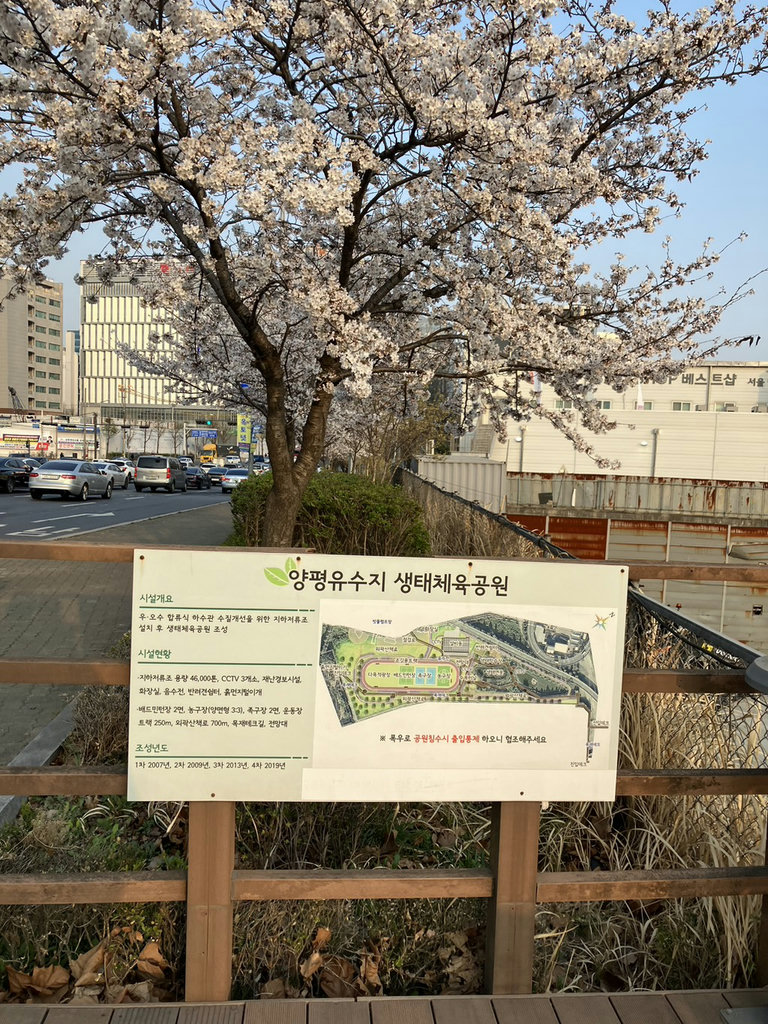 슬라이더 이미지