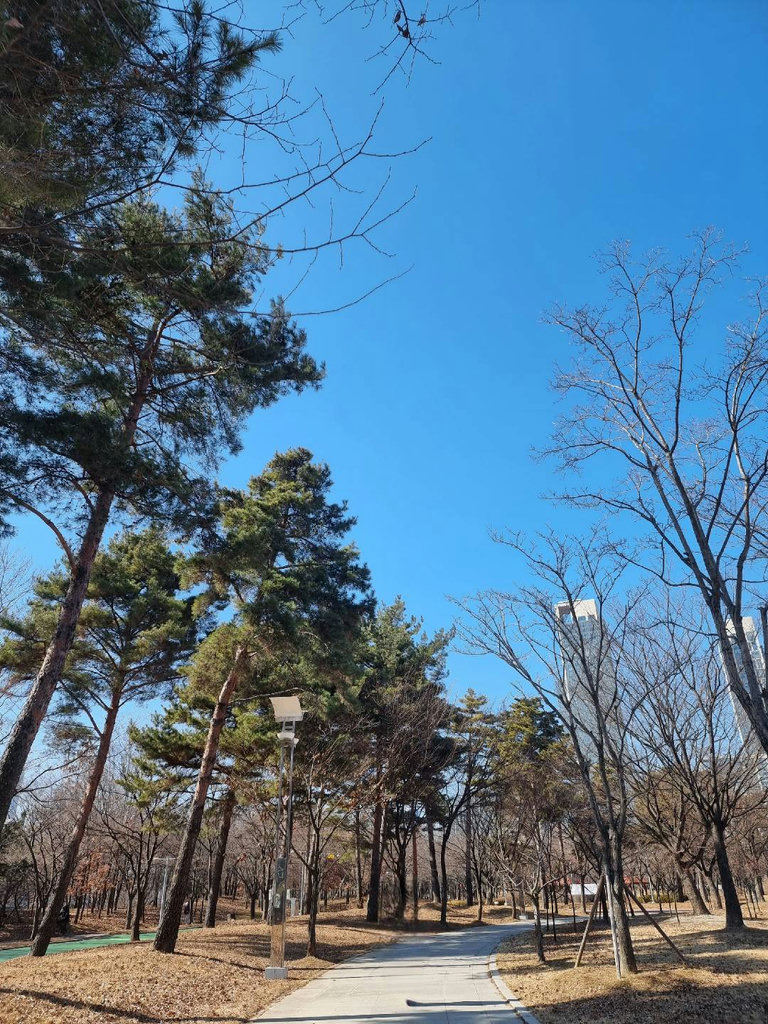 슬라이더 이미지