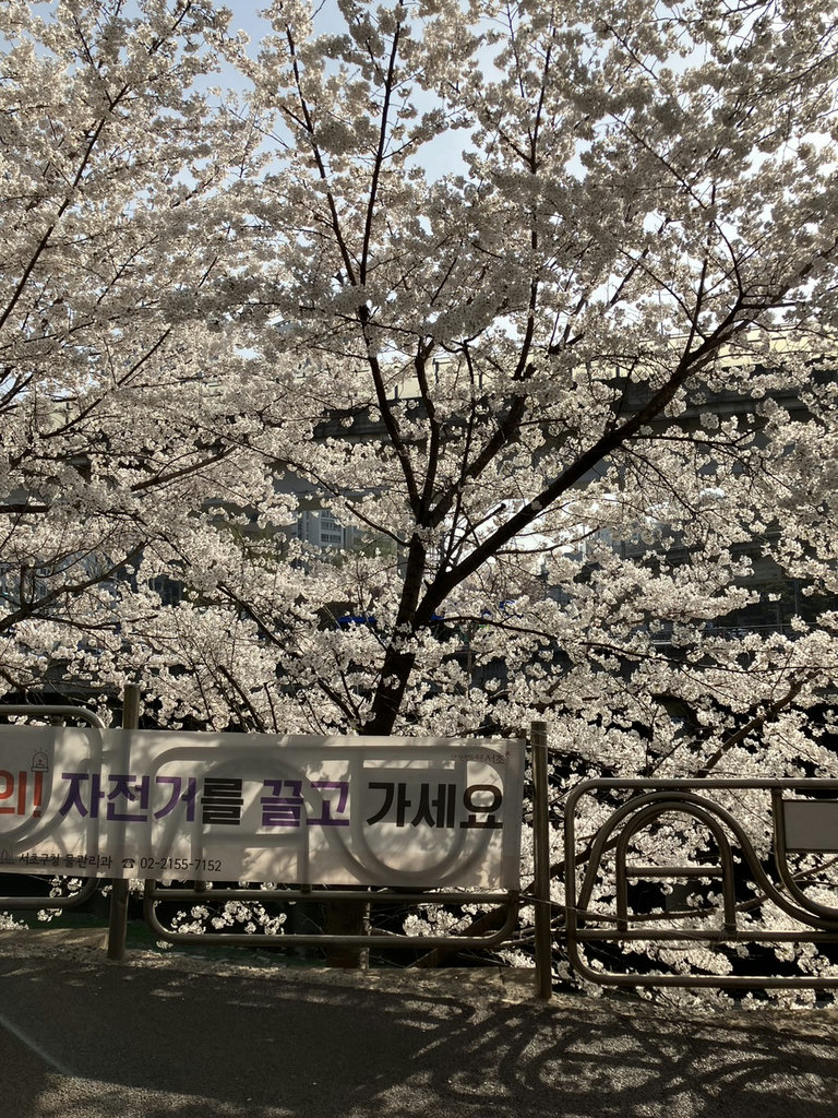 슬라이더 이미지