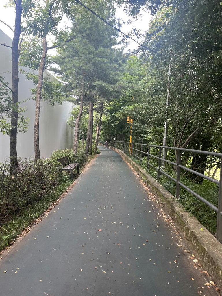 슬라이더 이미지