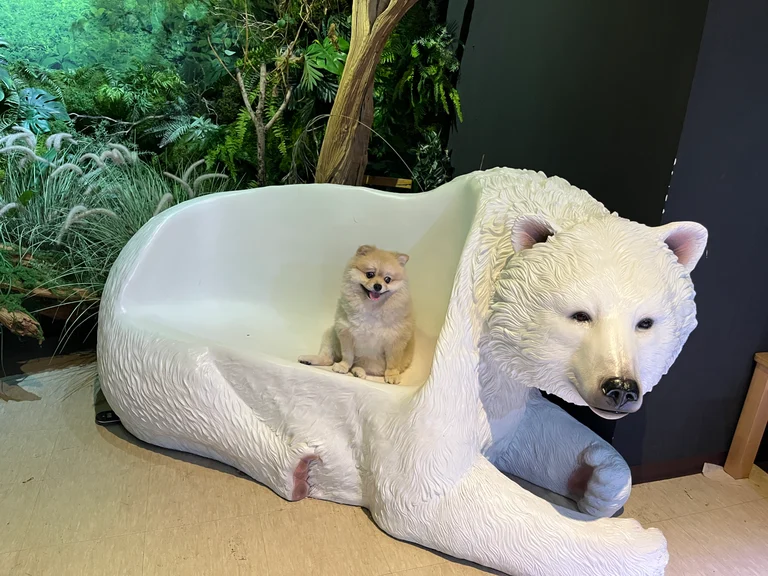 슬라이더 이미지