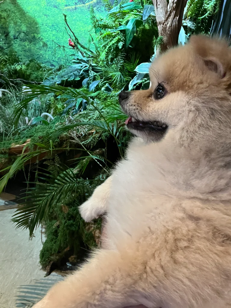 슬라이더 이미지
