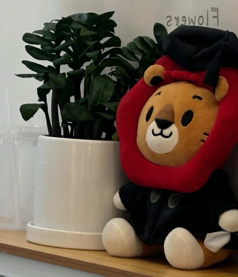 슬라이더 이미지