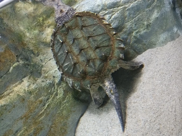 슬라이더 이미지