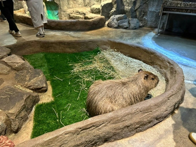 슬라이더 이미지