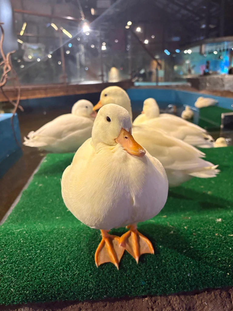 슬라이더 이미지