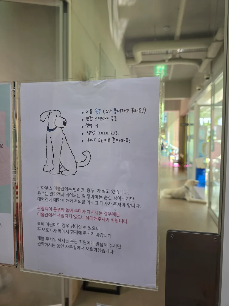 슬라이더 이미지