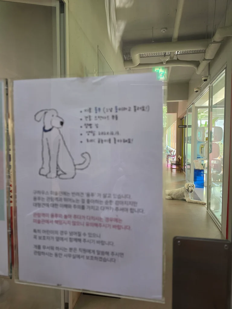 슬라이더 이미지