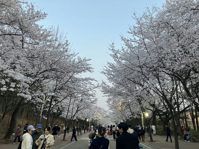 슬라이더 이미지