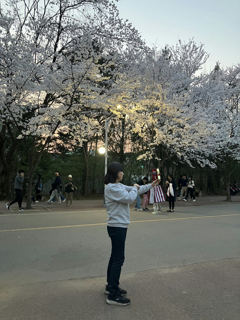 슬라이더 이미지