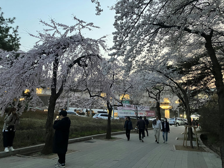 슬라이더 이미지