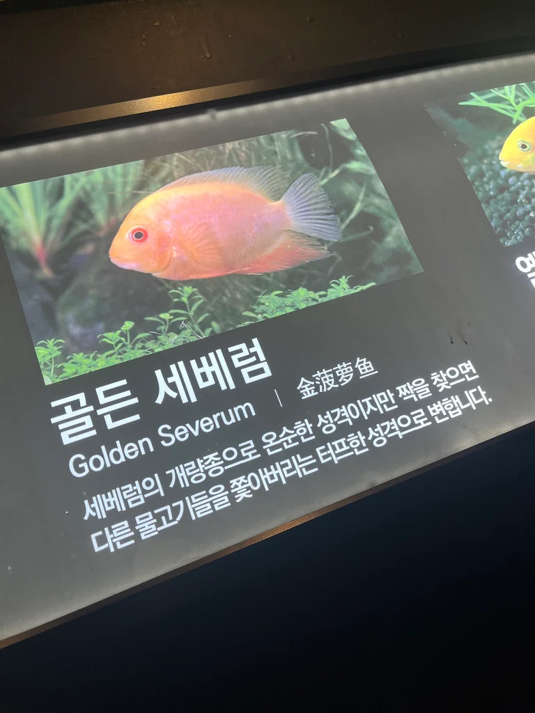 슬라이더 이미지