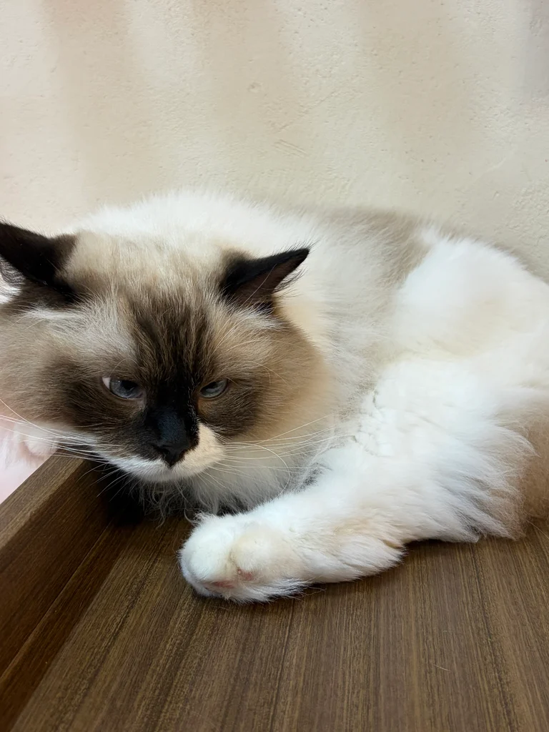 슬라이더 이미지