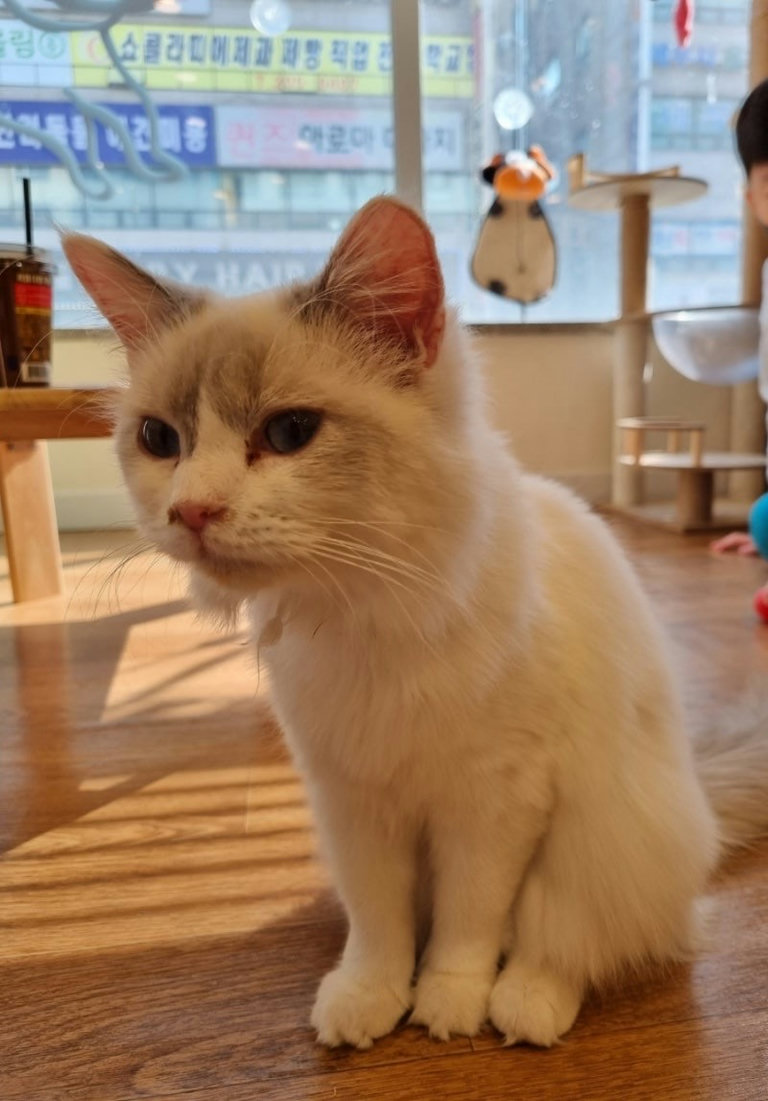 슬라이더 이미지