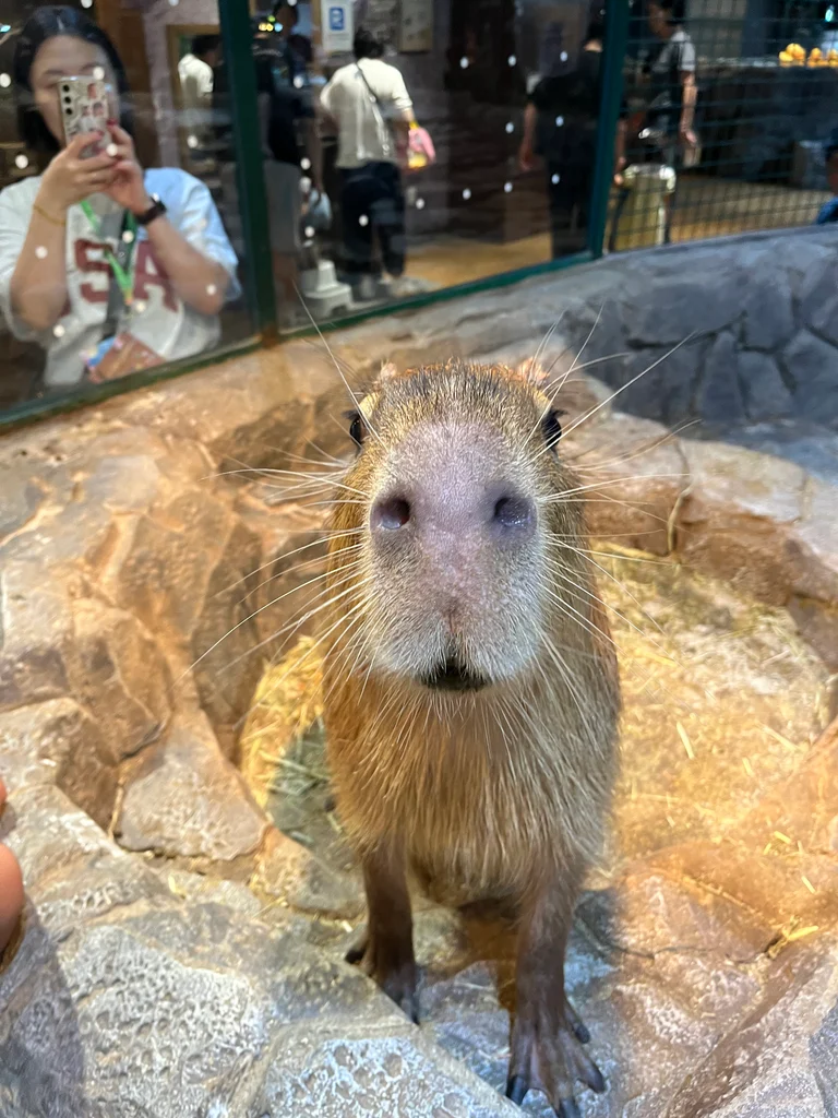 슬라이더 이미지