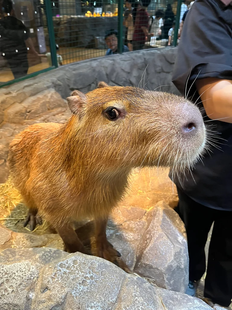 슬라이더 이미지