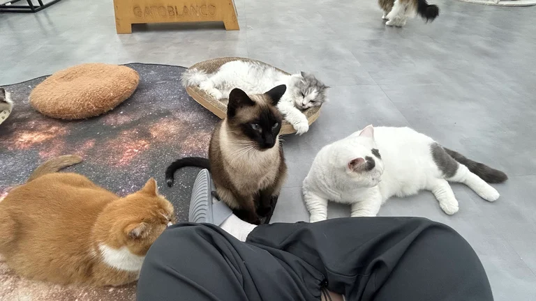 슬라이더 이미지