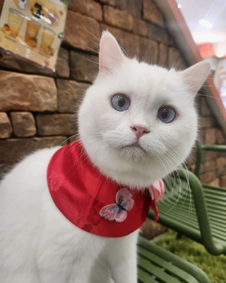 슬라이더 이미지