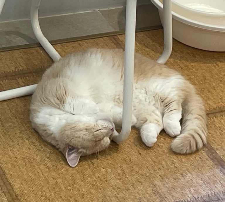 슬라이더 이미지