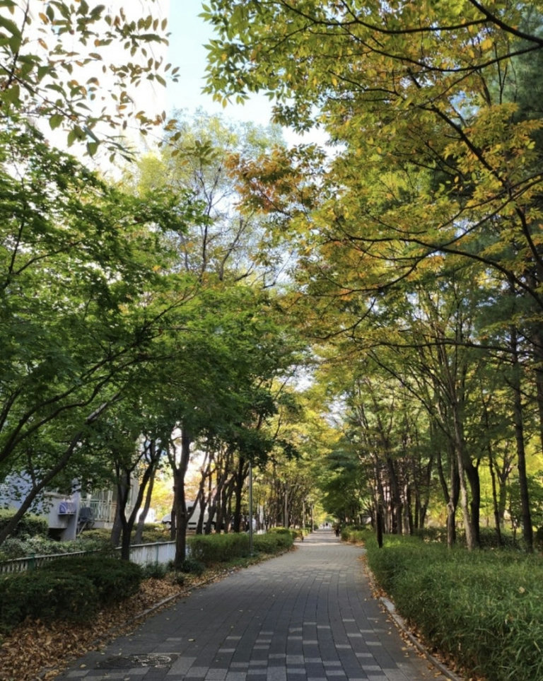 슬라이더 이미지