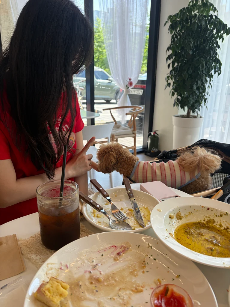 슬라이더 이미지