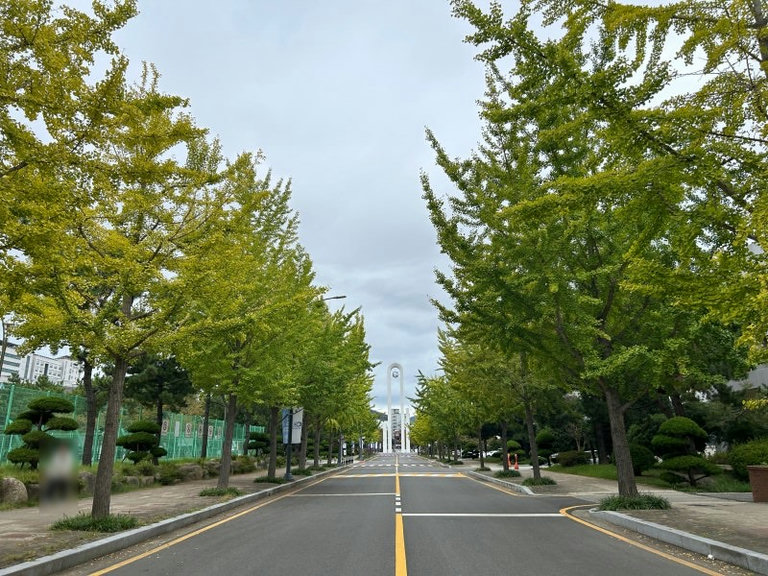 슬라이더 이미지