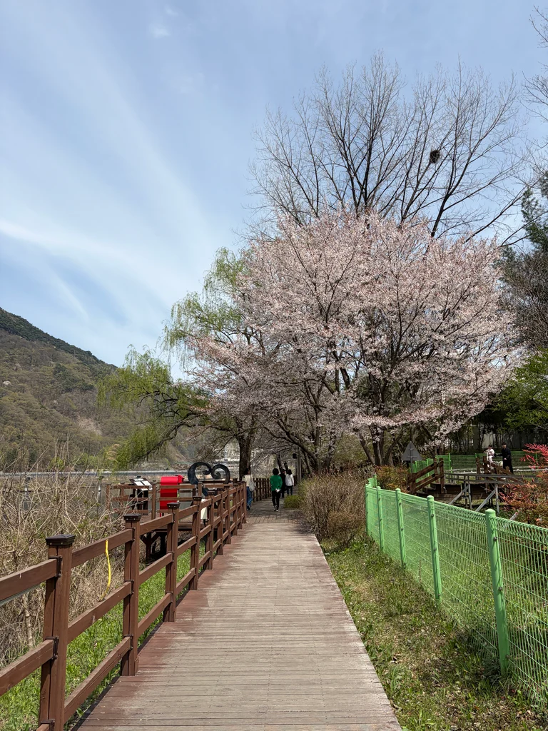 슬라이더 이미지