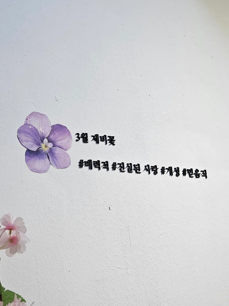 슬라이더 이미지