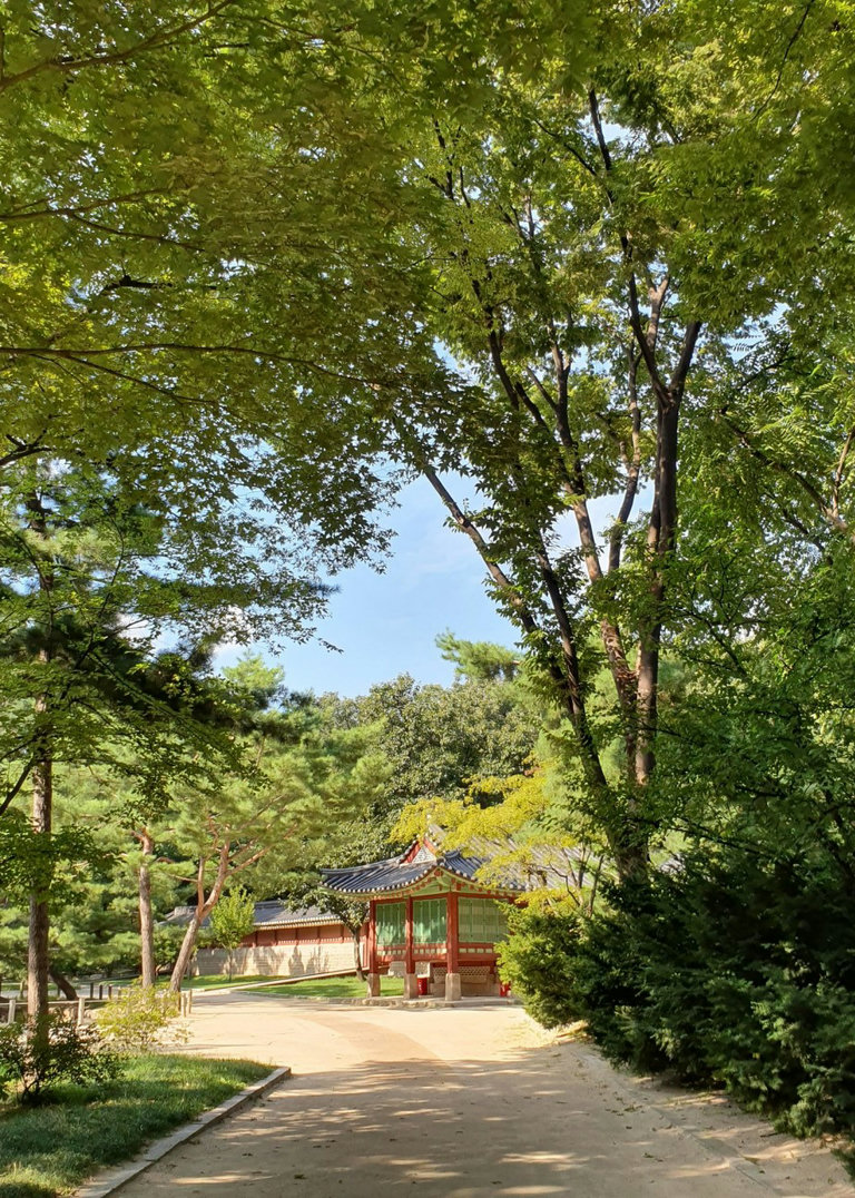 슬라이더 이미지