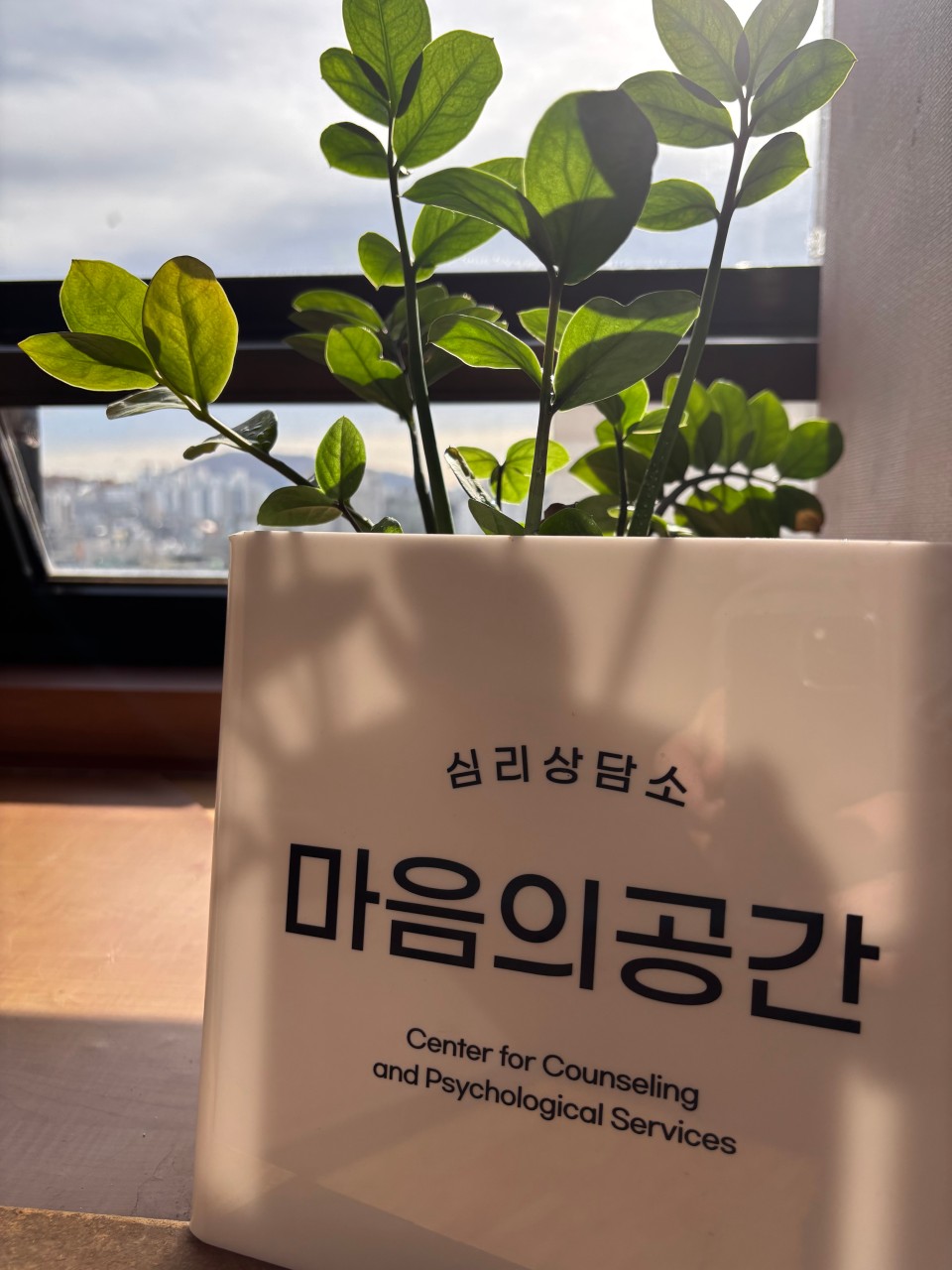 슬라이더 이미지