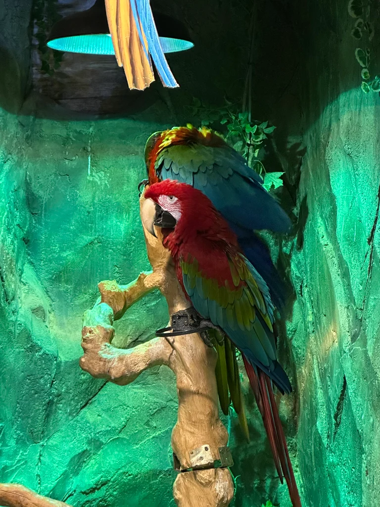 슬라이더 이미지