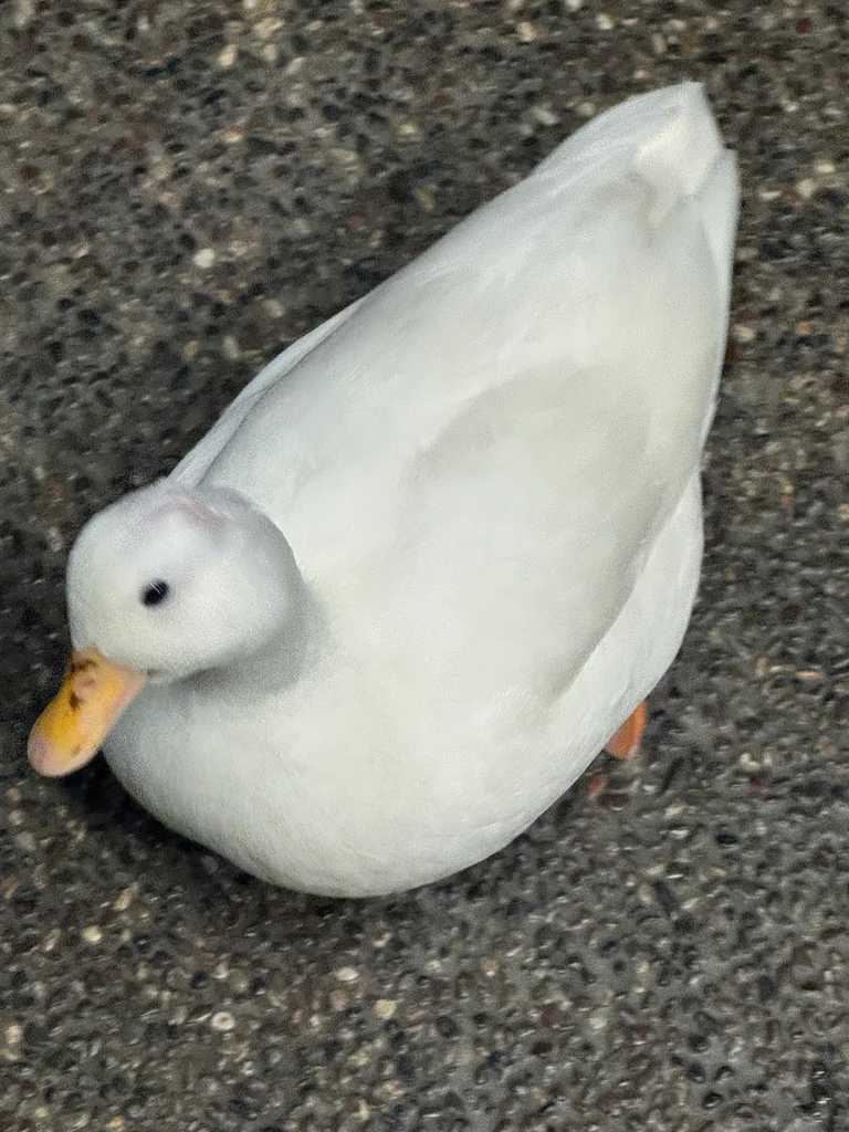 슬라이더 이미지