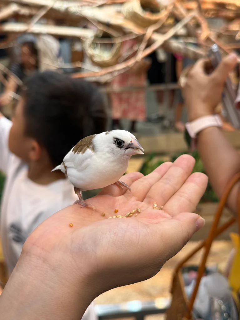 슬라이더 이미지