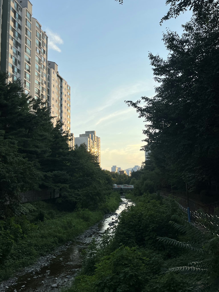슬라이더 이미지
