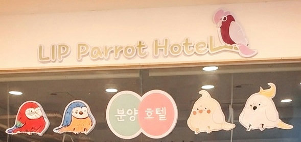 슬라이더 이미지