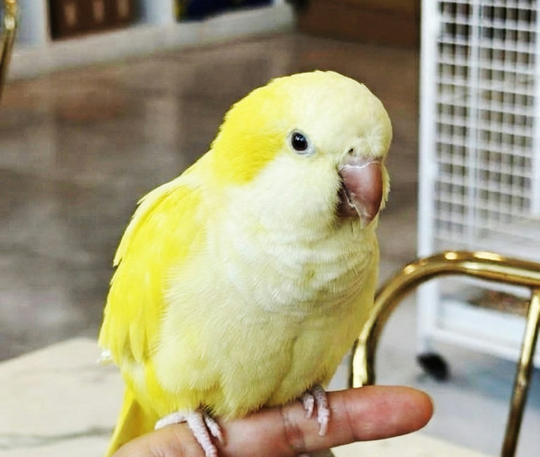 슬라이더 이미지