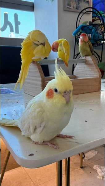 슬라이더 이미지