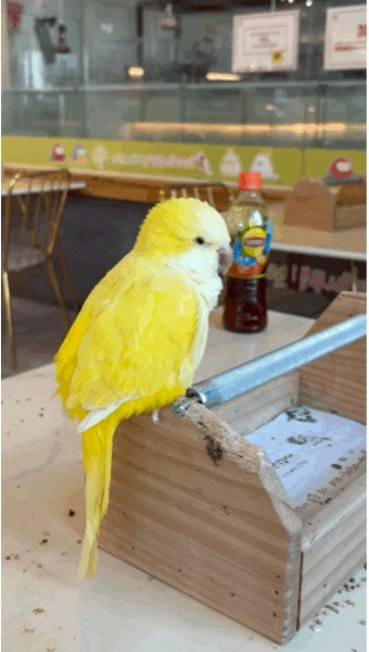 슬라이더 이미지