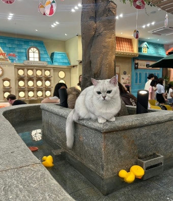 슬라이더 이미지