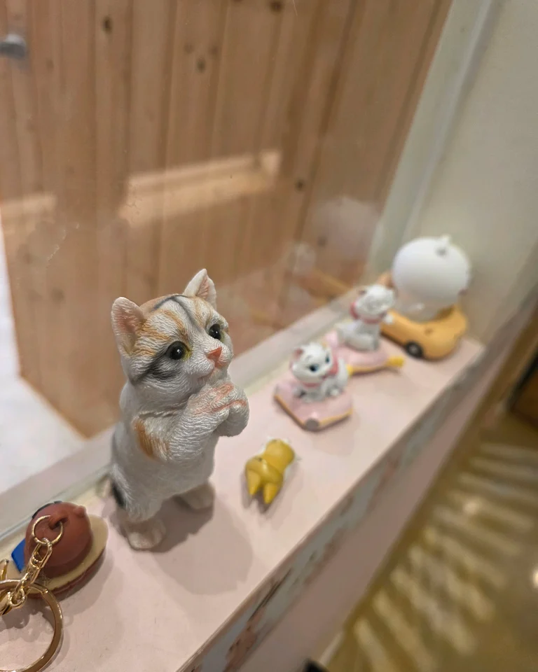 슬라이더 이미지
