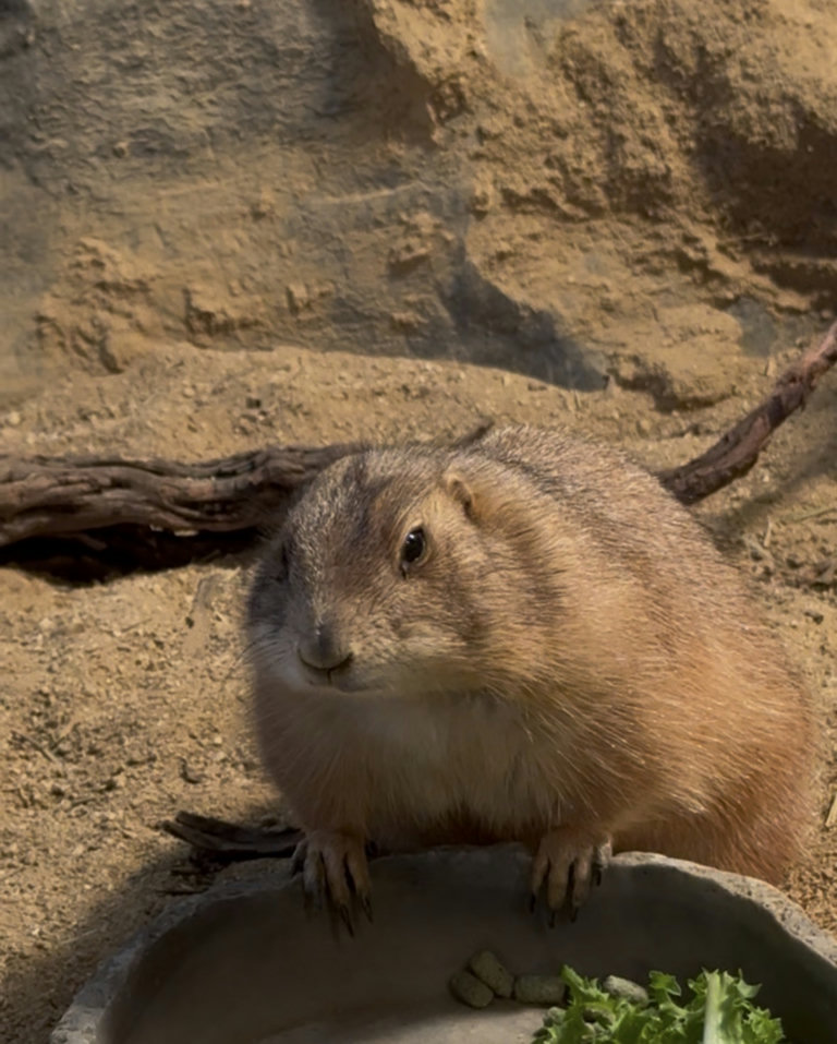 슬라이더 이미지