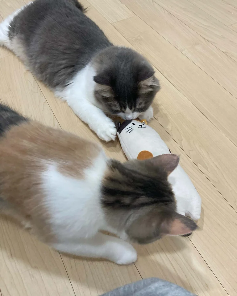 슬라이더 이미지